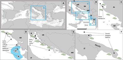 Towards a strategy for the recovering of the Mediterranean monk seal in the Adriatic-Ionian Basin